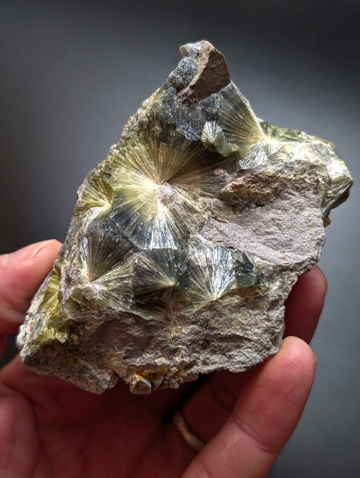 A hand holds a rough, grayish rock specimen featuring striking translucent green and yellow radiating crystal formations with sharp, fan-like facets.