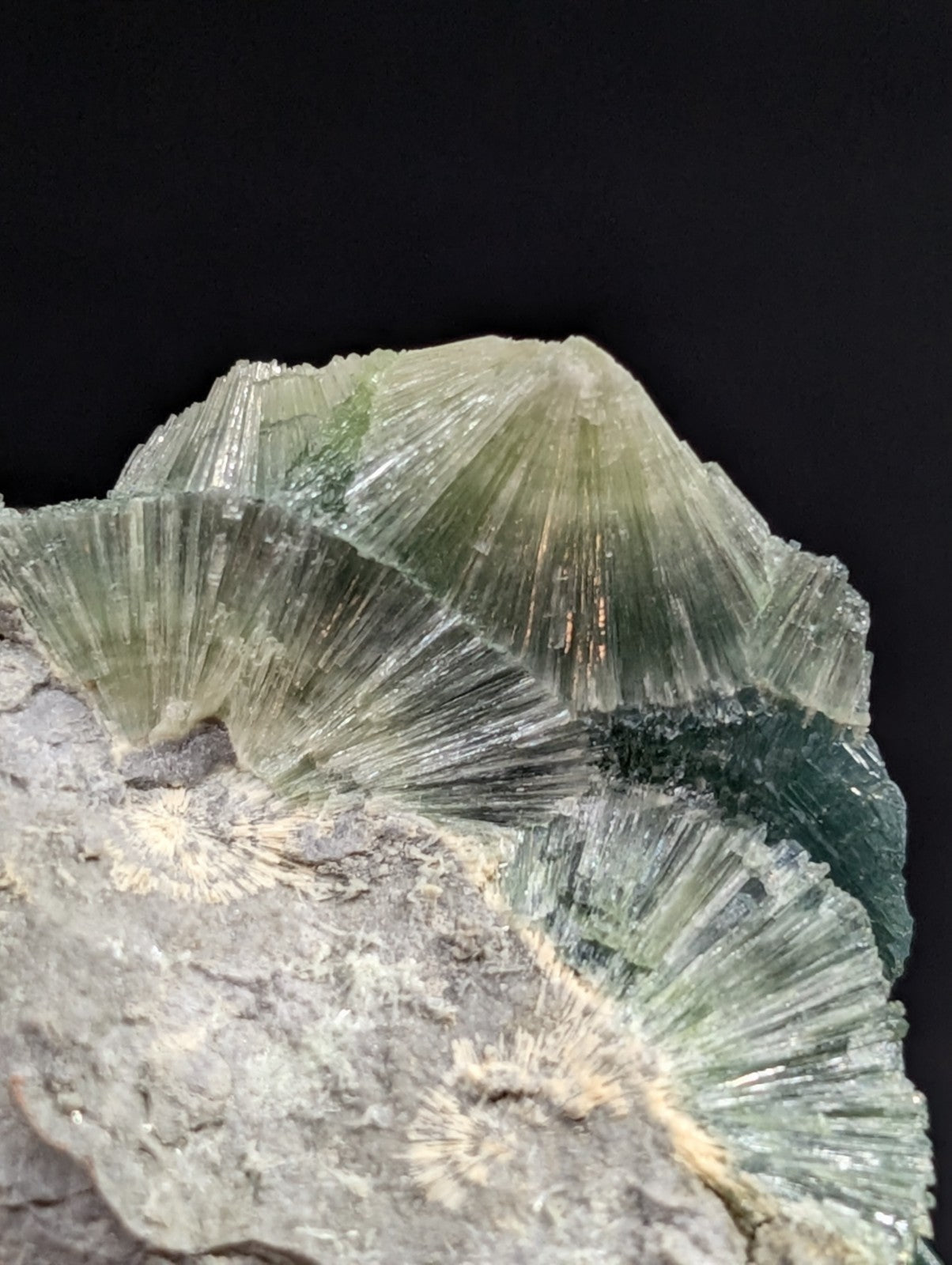 A translucent green mineral specimen with radiating, fan-like crystal formations emerging from a rough gray rock matrix.
