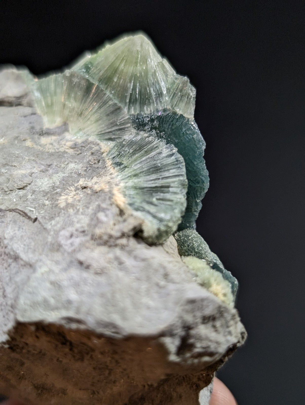 A translucent green fluorite crystal with radiating, fan-like facets growing from a rough gray rock matrix.