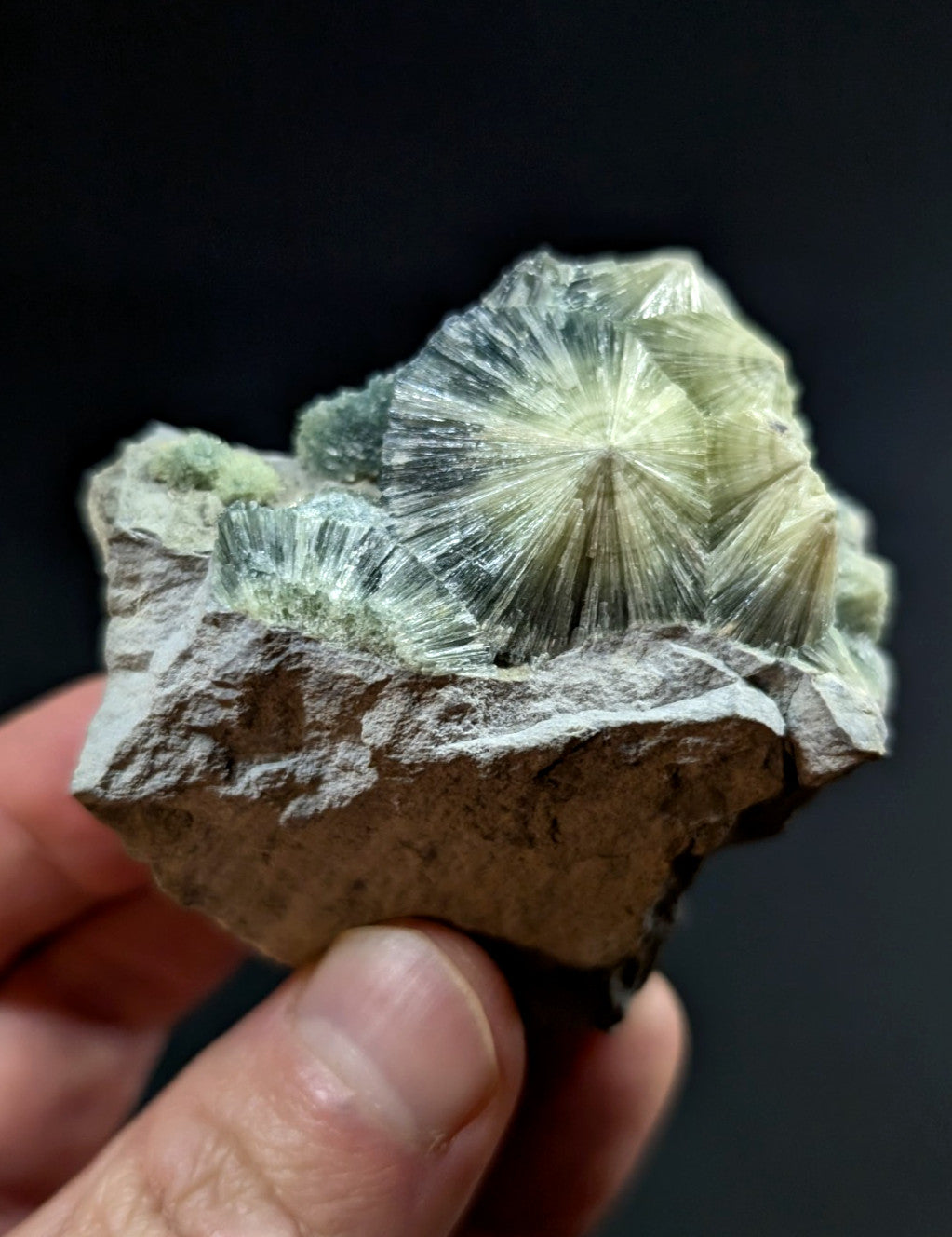 A hand holds a rough, earthy-toned rock specimen featuring striking translucent greenish-yellow radiating crystals with sharp, needle-like facets.