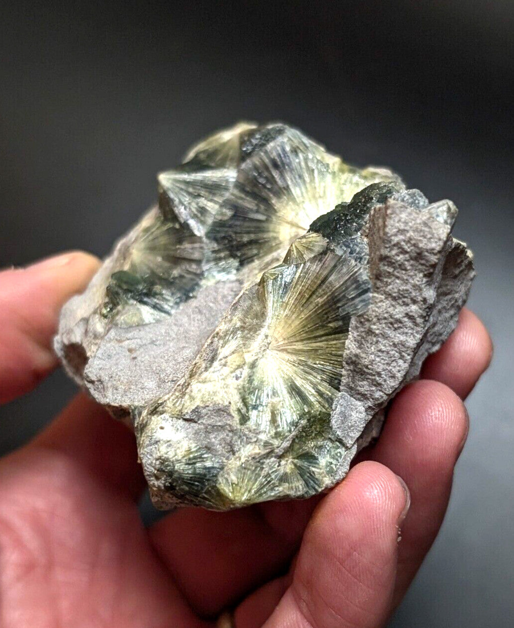 A hand holds a rough, irregularly shaped mineral specimen featuring prominent greenish-yellow radiating crystal formations embedded in gray rock.