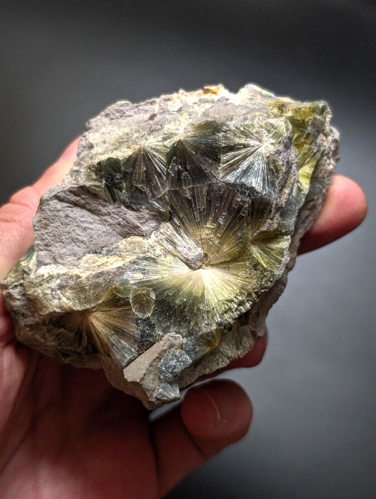A hand holds a rough, irregularly shaped mineral specimen featuring prominent translucent yellow-green radiating crystals embedded in grayish rock.