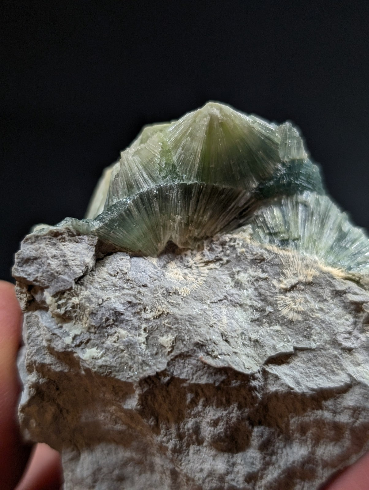 A translucent green mineral specimen with radiating, fan-like crystal formations emerging from a rough gray rock matrix.