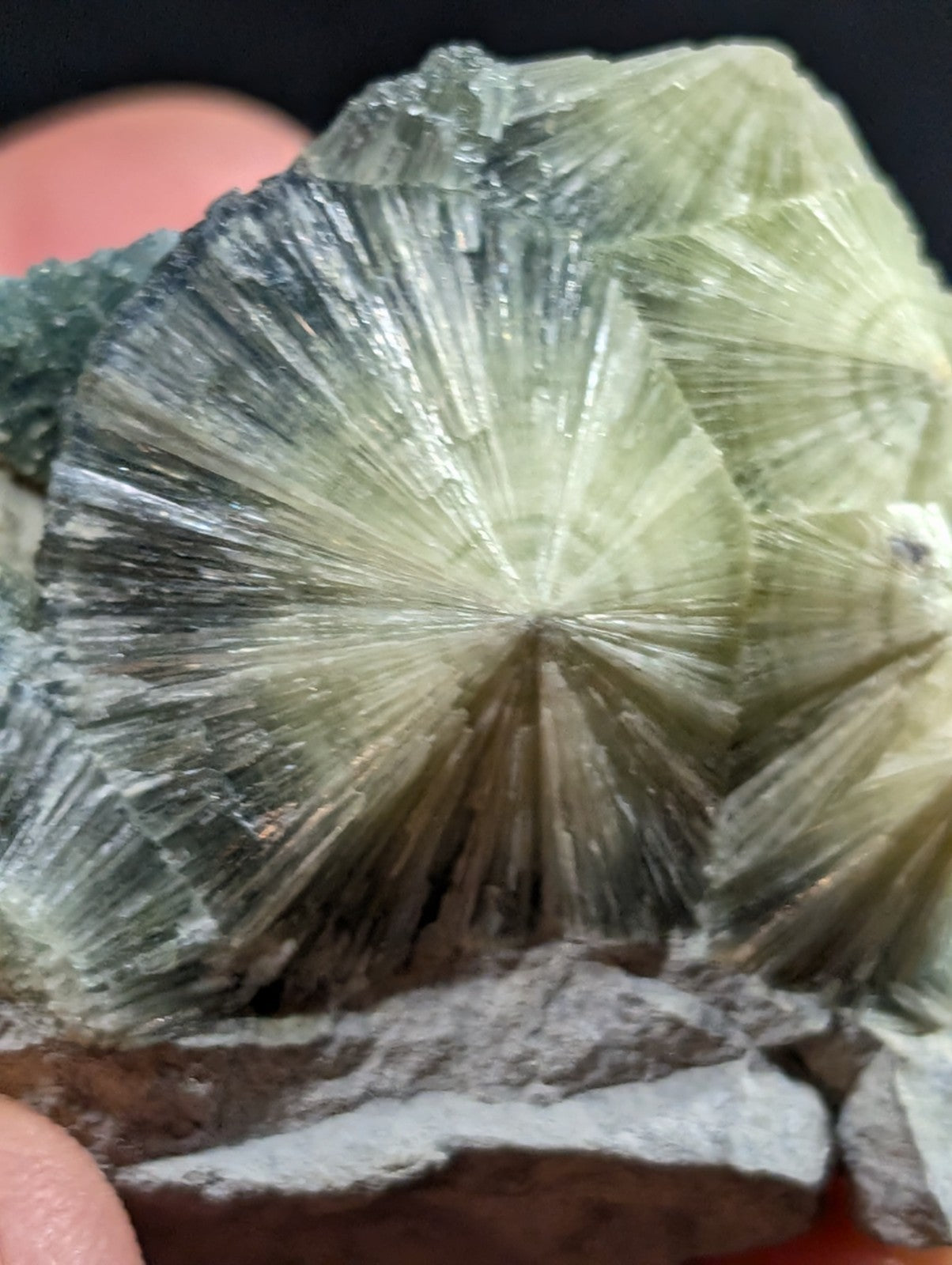 A translucent greenish-yellow mineral specimen with radiating, fan-like crystal formations.