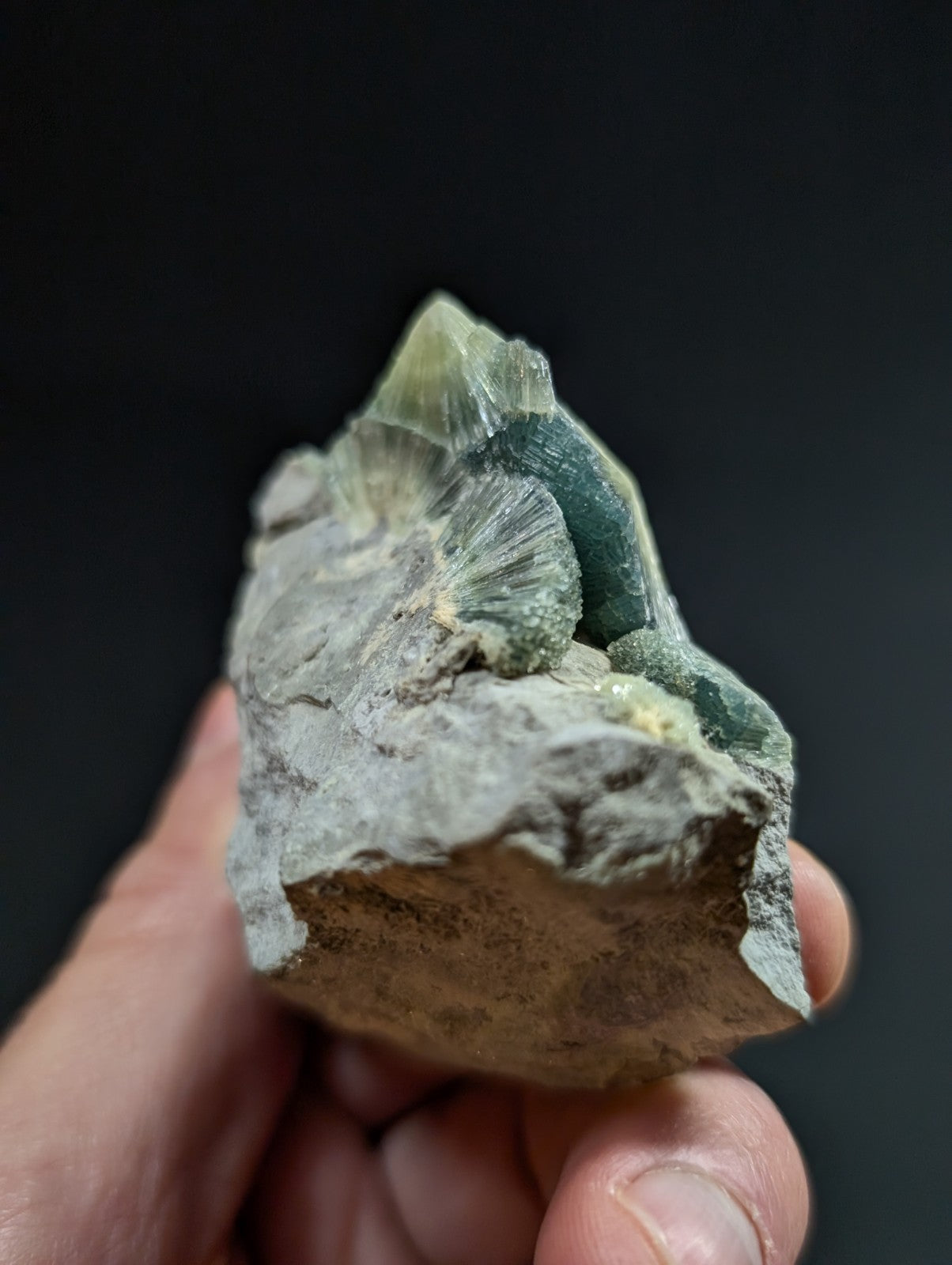 A hand holds a rough, gray rock specimen featuring vibrant green mineral crystals with intricate, fan-like growth patterns.