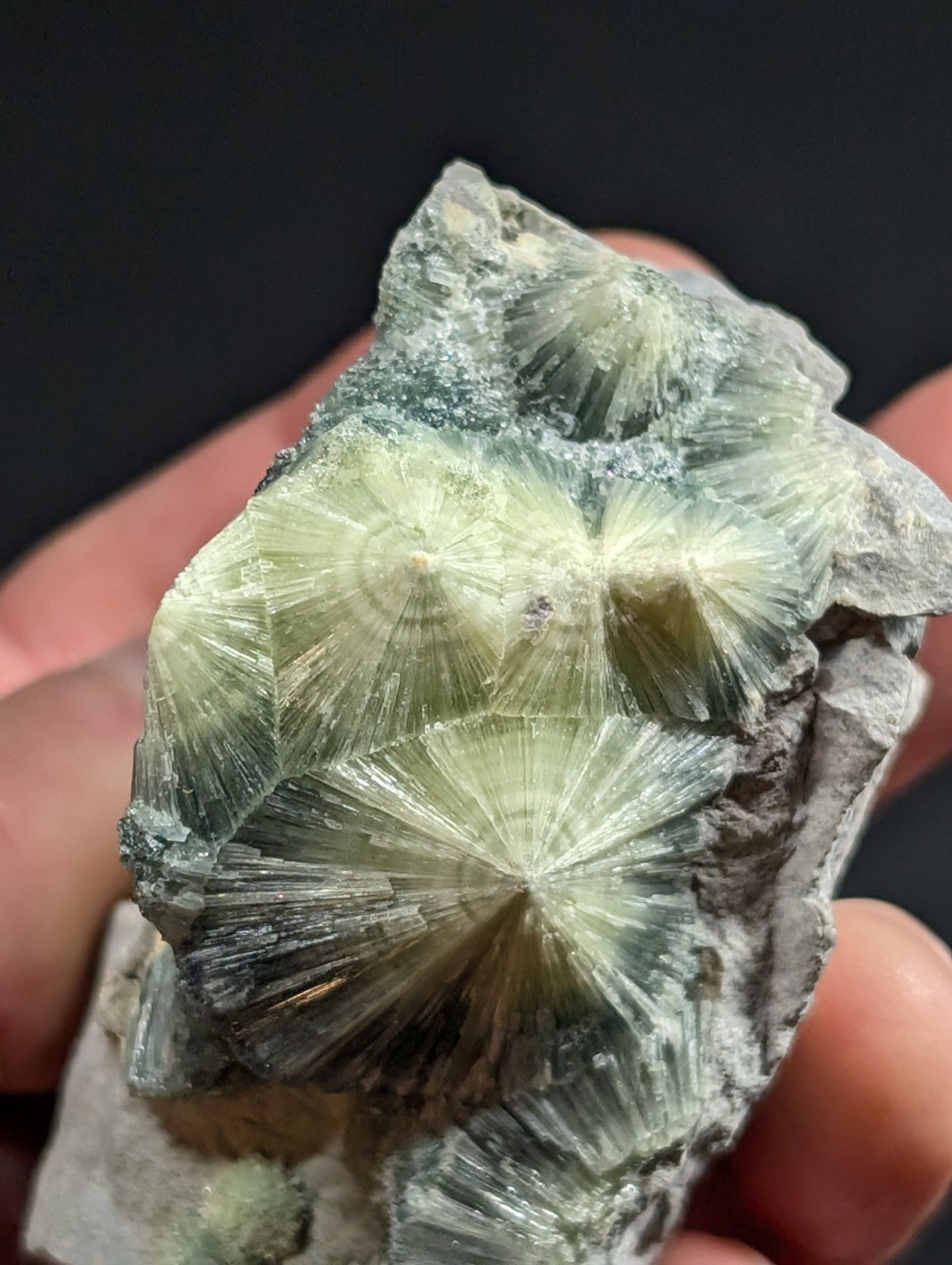 A hand holds a striking greenish-white calcite crystal formation with intricate radial patterns and translucent, fan-like structures.