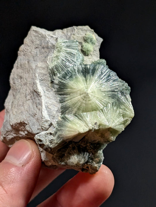 A striking green and white radiating crystal formation embedded in a rough gray rock matrix.