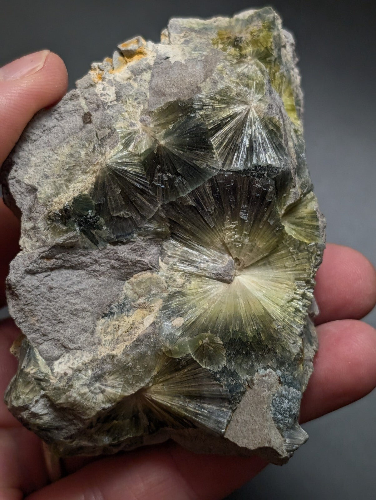 A hand holds a rough, grayish rock specimen featuring prominent translucent green and yellow radiating crystal formations with sharp, fan-like edges.