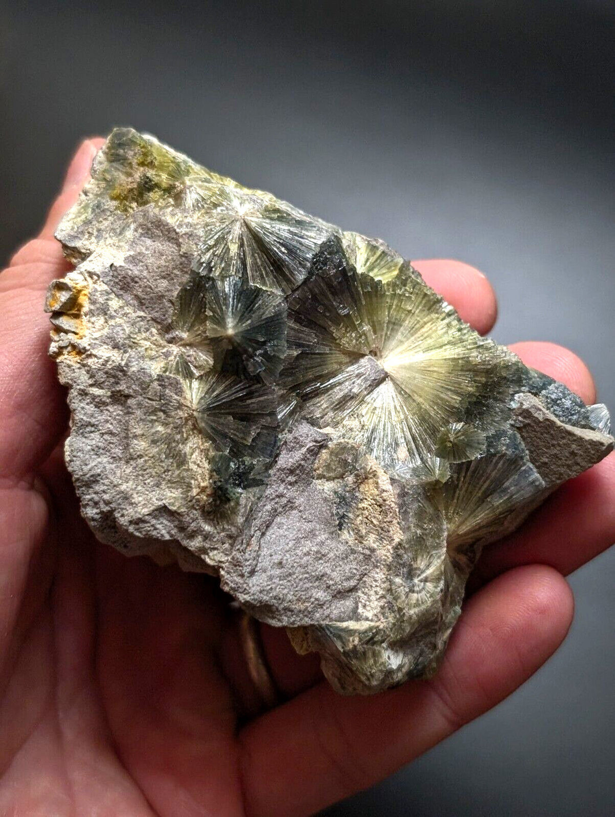 A hand holds a rough, grayish rock specimen featuring prominent translucent green and yellow star-shaped mineral crystals with radiating facets.