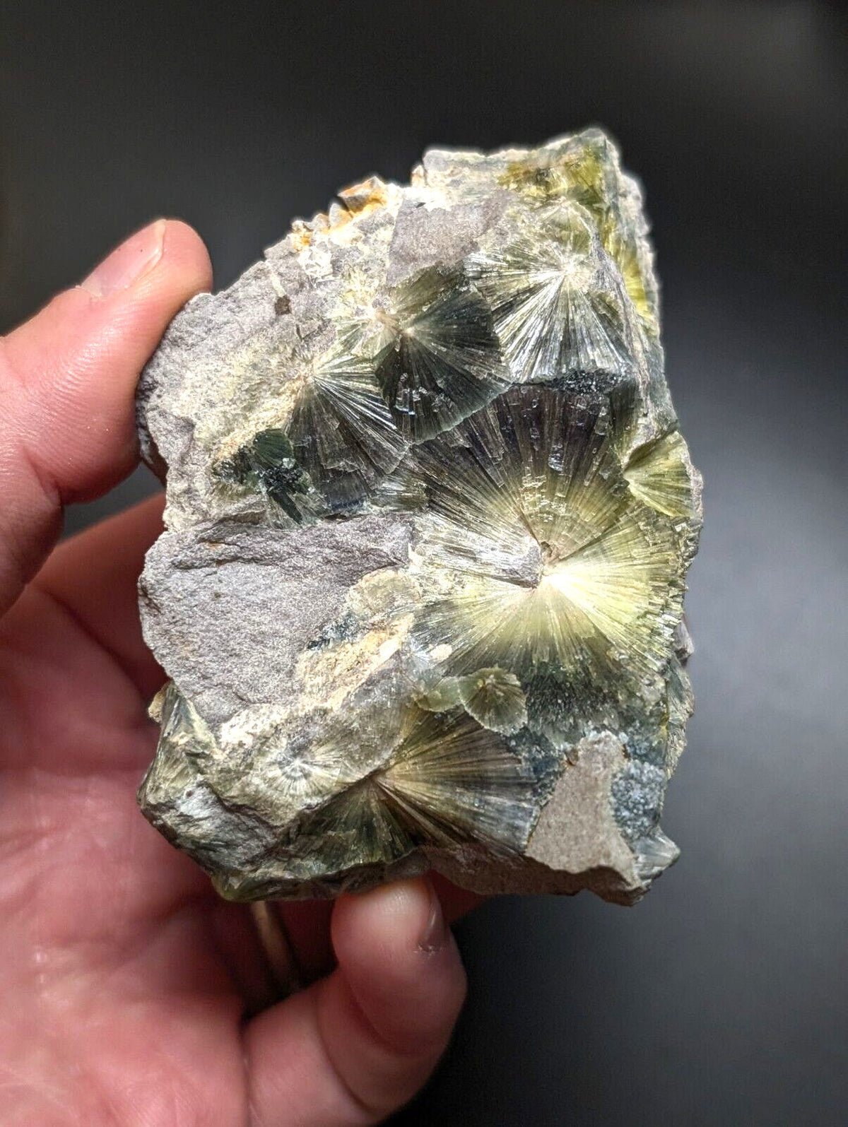 A hand holds a rough, irregularly shaped mineral specimen featuring prominent greenish-yellow radiating crystal formations against a gray matrix.