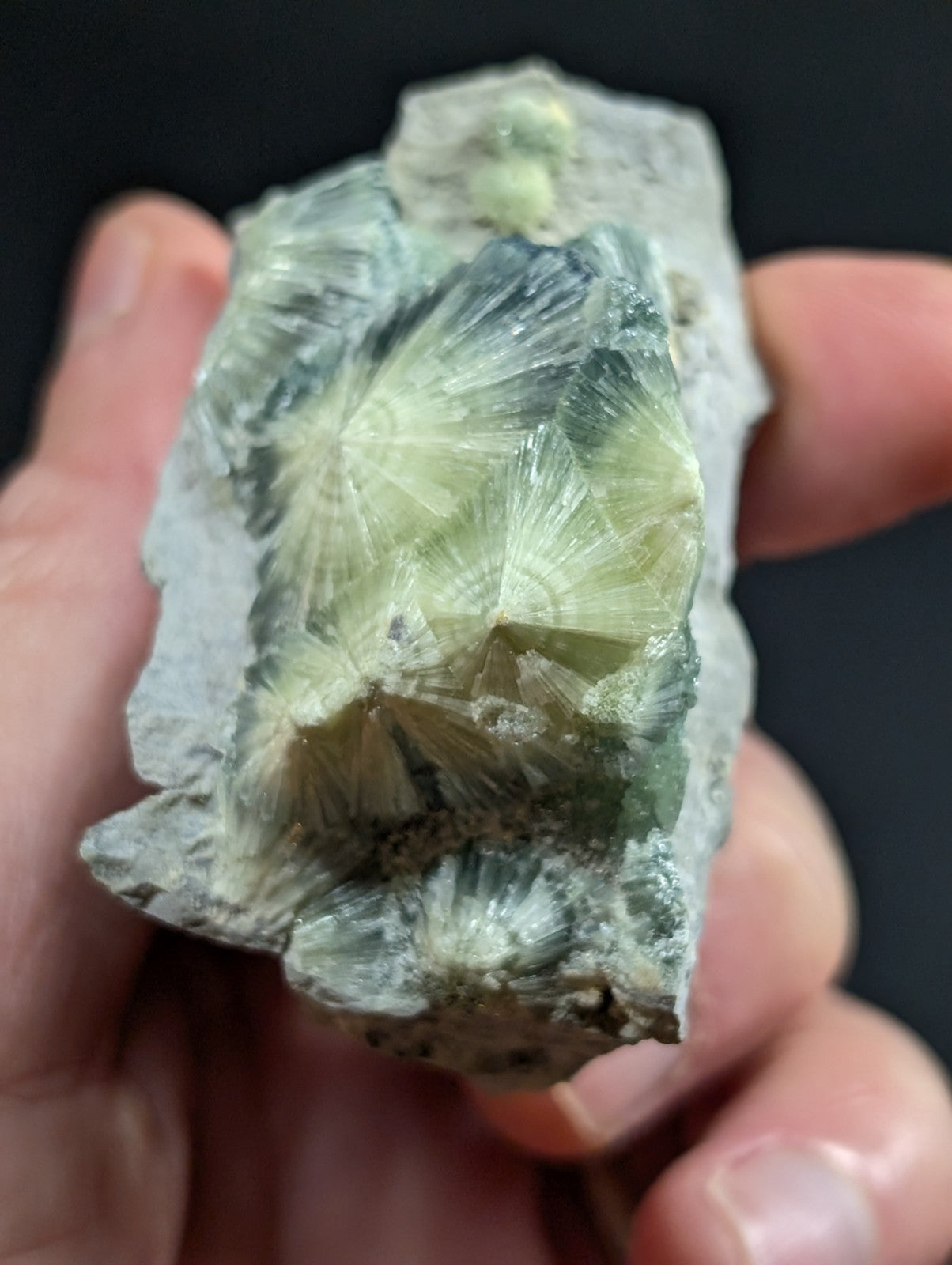 A hand holds a rough, irregularly shaped mineral specimen featuring prominent translucent greenish-yellow crystalline formations with radiating patterns against a darker gray matrix.
