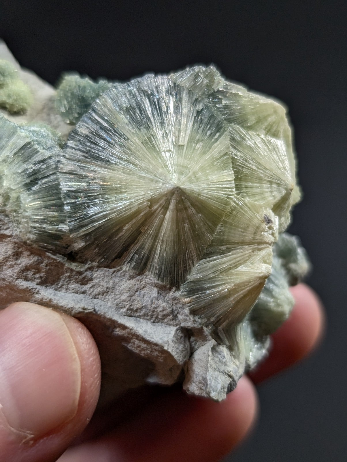 A striking greenish-yellow radiating crystal formation with a starburst pattern, embedded in rough gray rock.