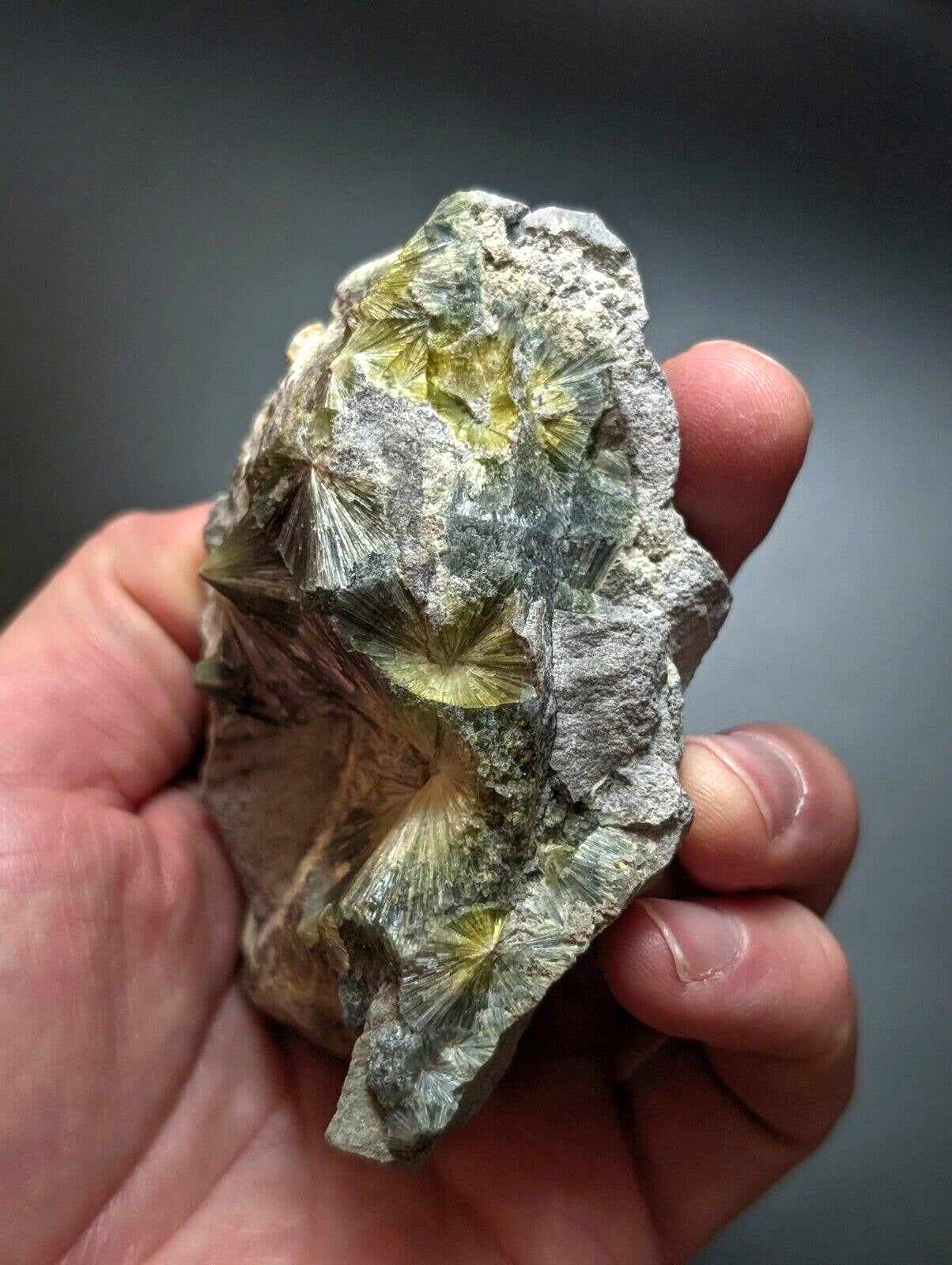 A hand holds a rough, grayish rock specimen featuring vibrant yellow-green star-shaped mineral crystals embedded within its surface.