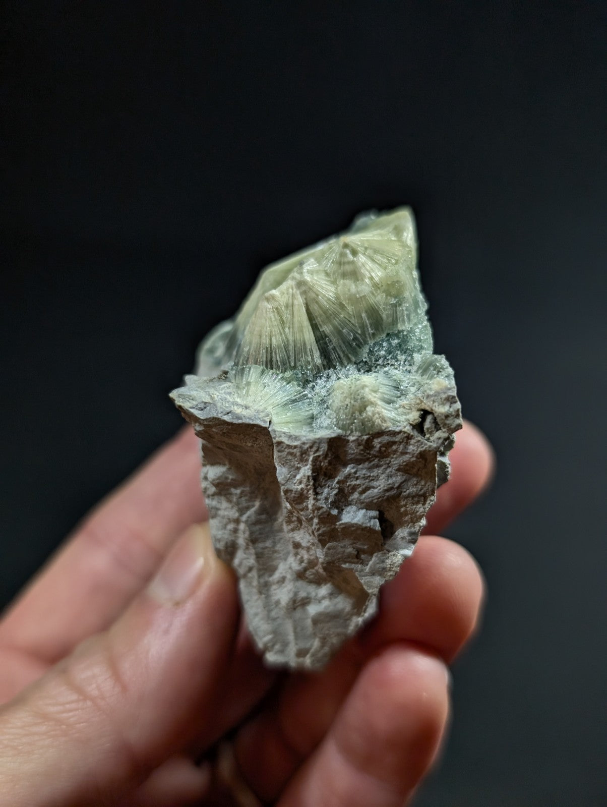 A hand holds a pale green, translucent mineral specimen with delicate crystalline formations emerging from a rougher, grayish matrix.