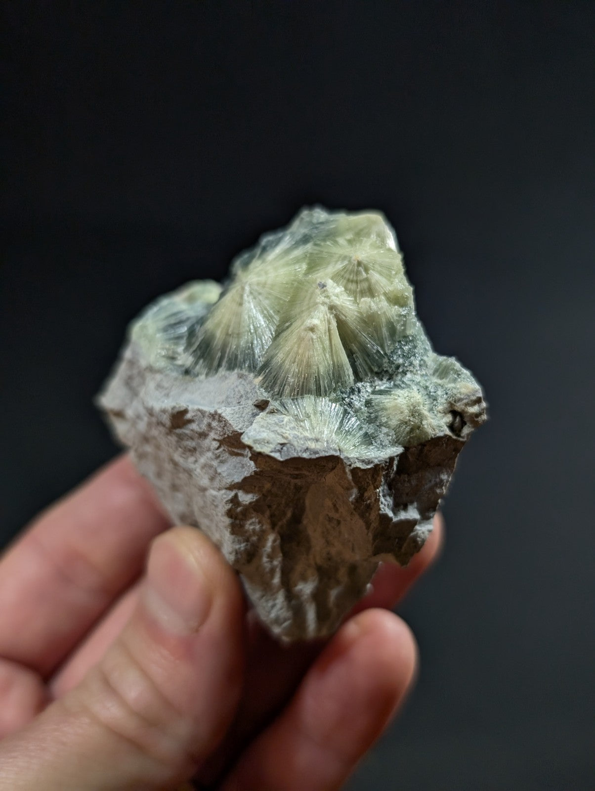A hand holds a rough, irregularly shaped mineral specimen featuring translucent pale green crystals with radiating, fan-like growths emerging from a darker gray matrix.