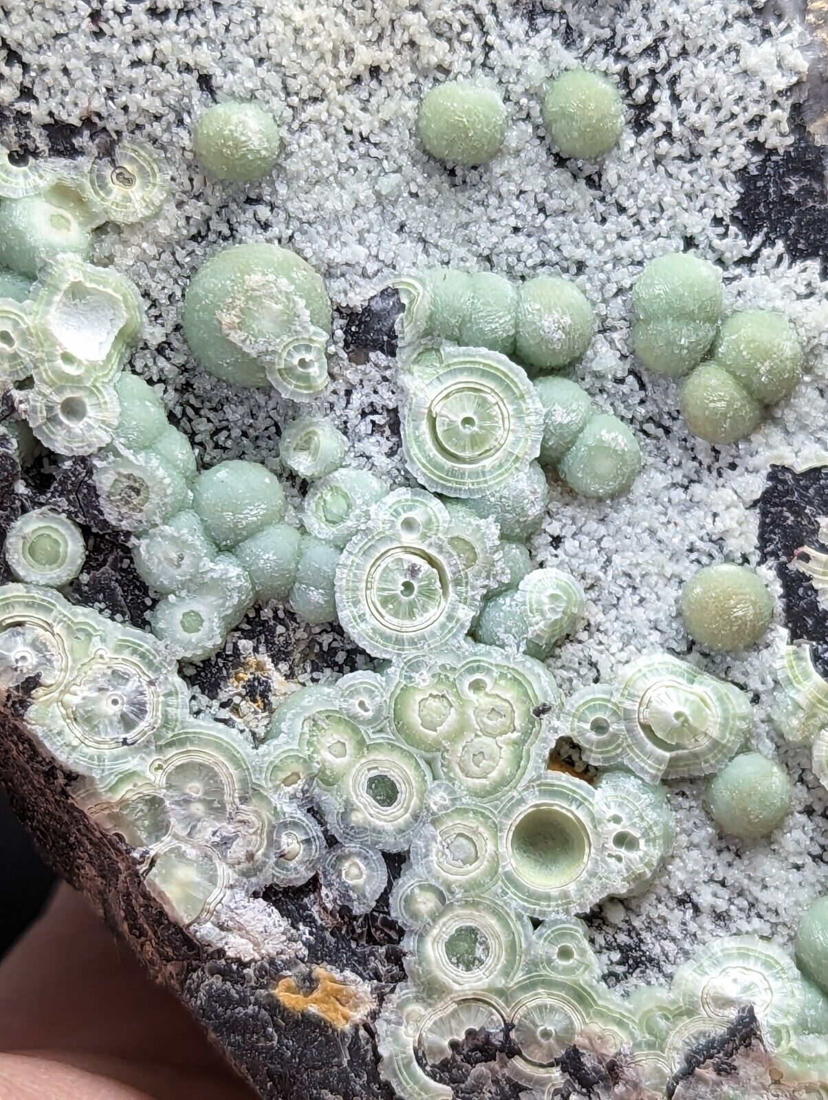 Wavellite display piece- Fantastic Old Stock- Mauldin Mountain Arkansas 2 + lbs - Collectibles:Rocks Fossils &