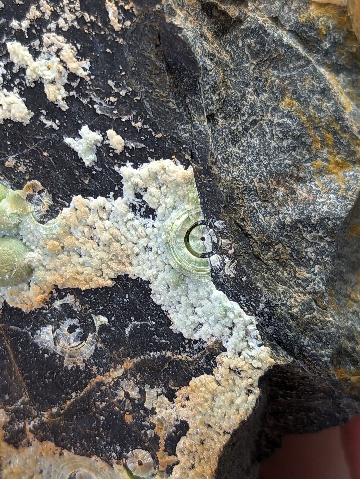 Wavellite display piece- Fantastic Old Stock- Mauldin Mountain Arkansas 2 + lbs - Collectibles:Rocks Fossils &