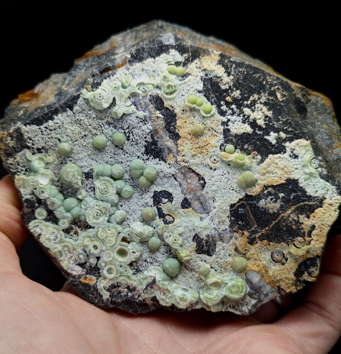 Wavellite display piece- Fantastic Old Stock- Mauldin Mountain Arkansas 2 + lbs - Collectibles:Rocks Fossils &