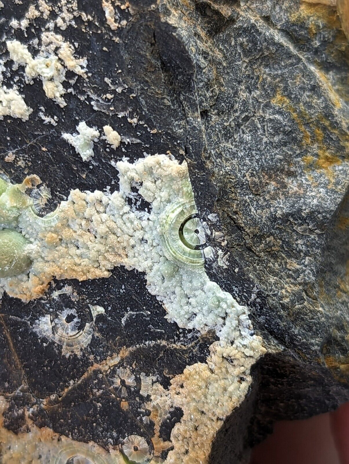 Wavellite display piece- Fantastic Old Stock- Mauldin Mountain Arkansas 2 + lbs - Collectibles:Rocks Fossils &