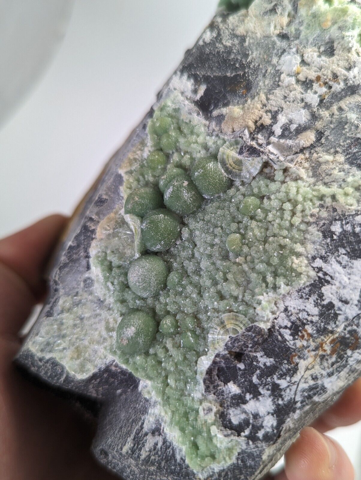 Wavellite display piece- Old Stock - Mauldin Mountain Arkansas Large - Collectibles:Rocks Fossils & Minerals:Crystals
