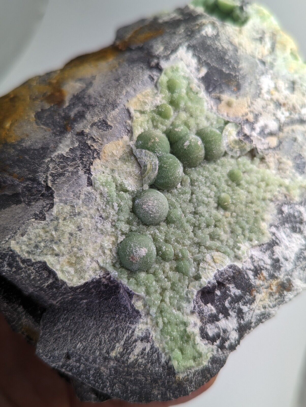 Wavellite display piece- Old Stock - Mauldin Mountain Arkansas Large - Collectibles:Rocks Fossils & Minerals:Crystals
