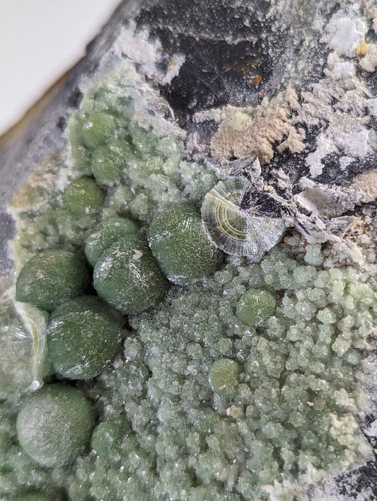 Wavellite display piece- Old Stock - Mauldin Mountain Arkansas Large - Collectibles:Rocks Fossils & Minerals:Crystals