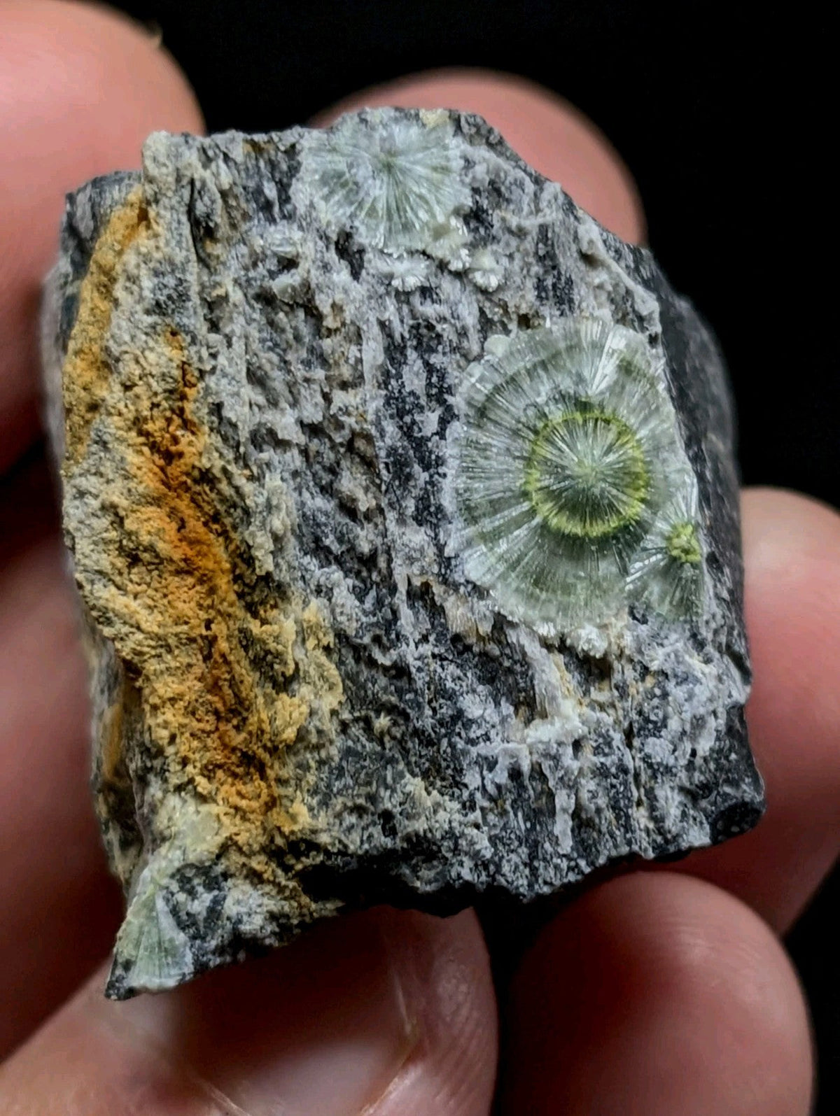 A hand holds a dark gray rock specimen featuring translucent, radiating green and clear crystal formations with an orange-yellow mineral streak along its edge.