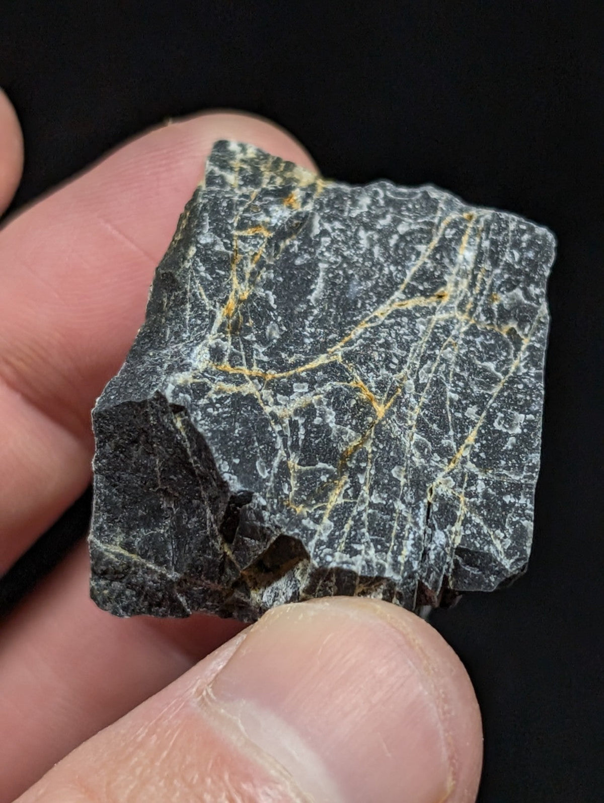 A dark, irregularly shaped rock with a textured surface featuring prominent golden-yellow veins running through it.