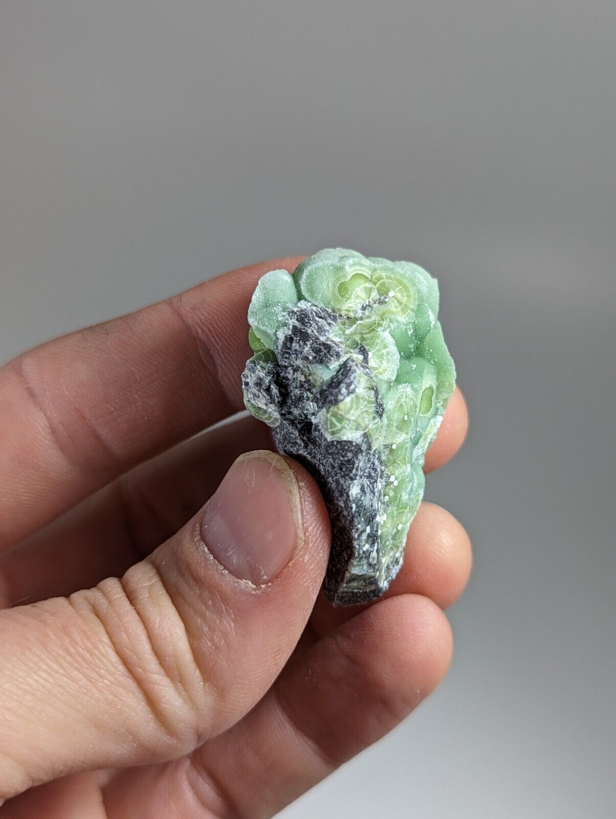 Wavellite - Fantastic 1990s Old Stock - Mauldin Mountain Arkansas - Collectibles:Rocks Fossils & Minerals:Crystals