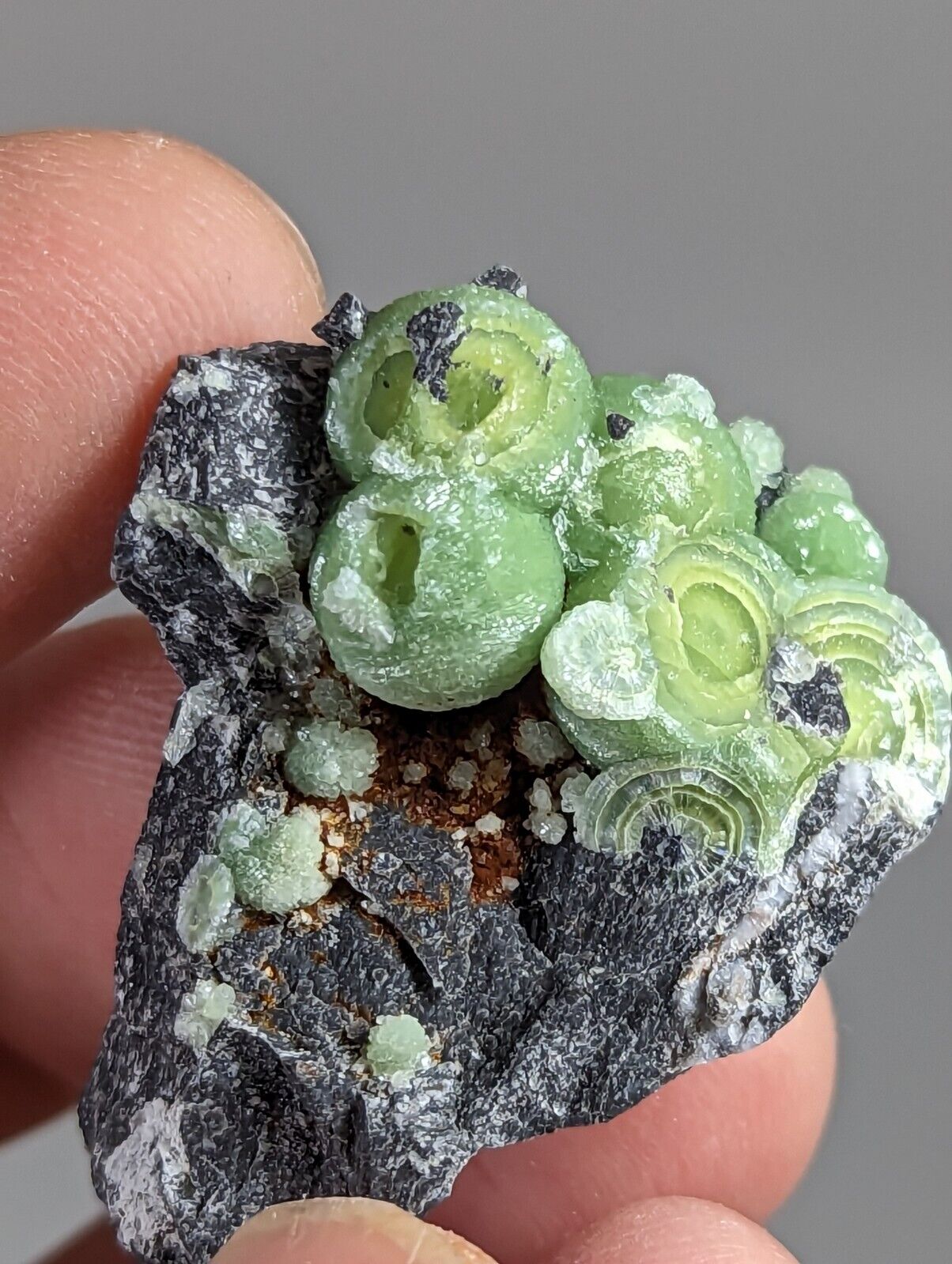Wavellite - Fantastic 1990s Old Stock - Mauldin Mountain Arkansas - Collectibles:Rocks Fossils & Minerals:Crystals