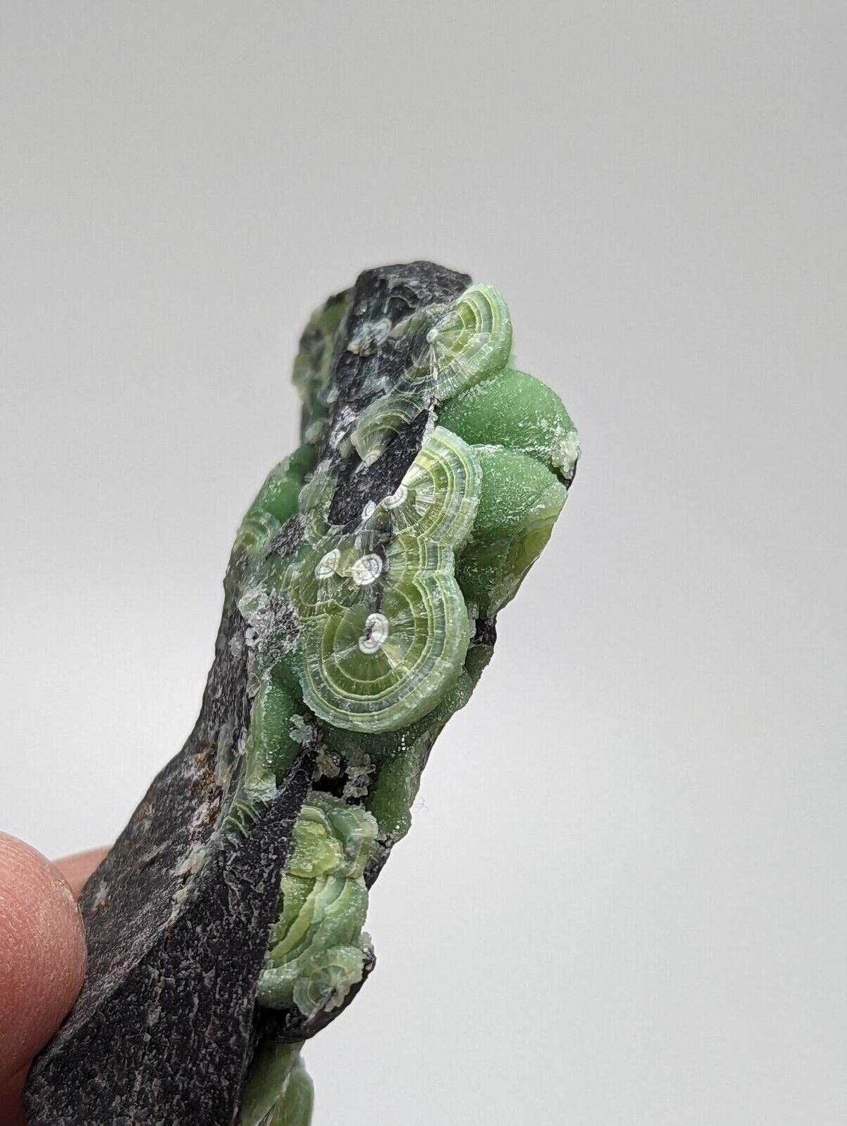 Wavellite - Fantastic 1990s Old Stock - Mauldin Mountain Arkansas - Collectibles:Rocks Fossils & Minerals:Crystals