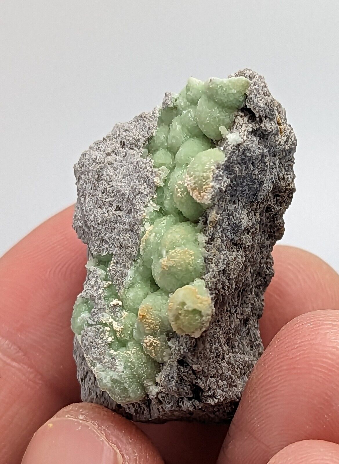 Wavellite - Fantastic 1990s Old Stock - Mauldin Mountain Arkansas - Collectibles:Rocks Fossils & Minerals:Crystals
