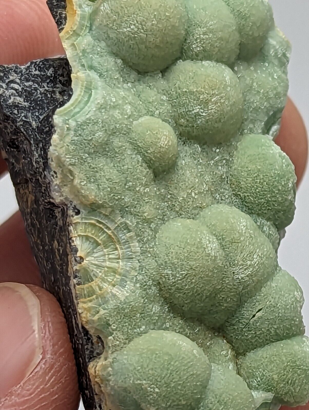 Wavellite - Fantastic 1990s Old Stock - Mauldin Mountain Arkansas - Collectibles:Rocks Fossils & Minerals:Crystals