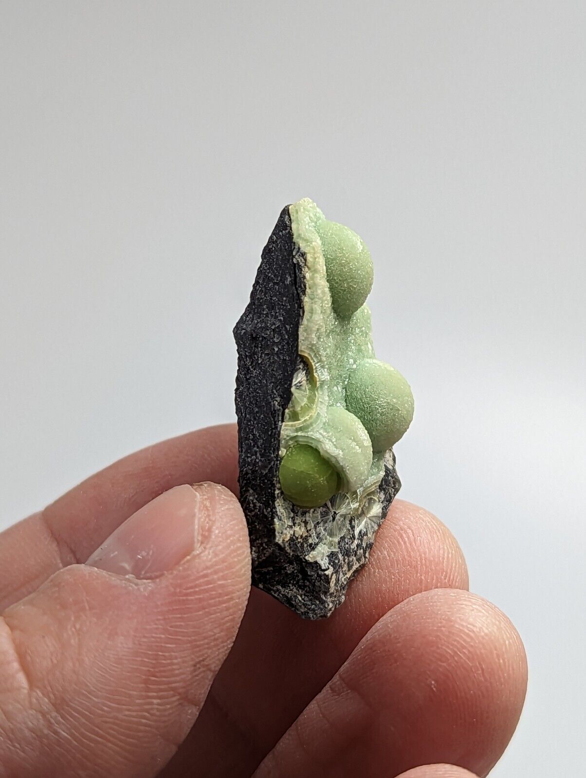 Wavellite - Fantastic 1990s Old Stock - Mauldin Mountain Arkansas - Collectibles:Rocks Fossils & Minerals:Crystals