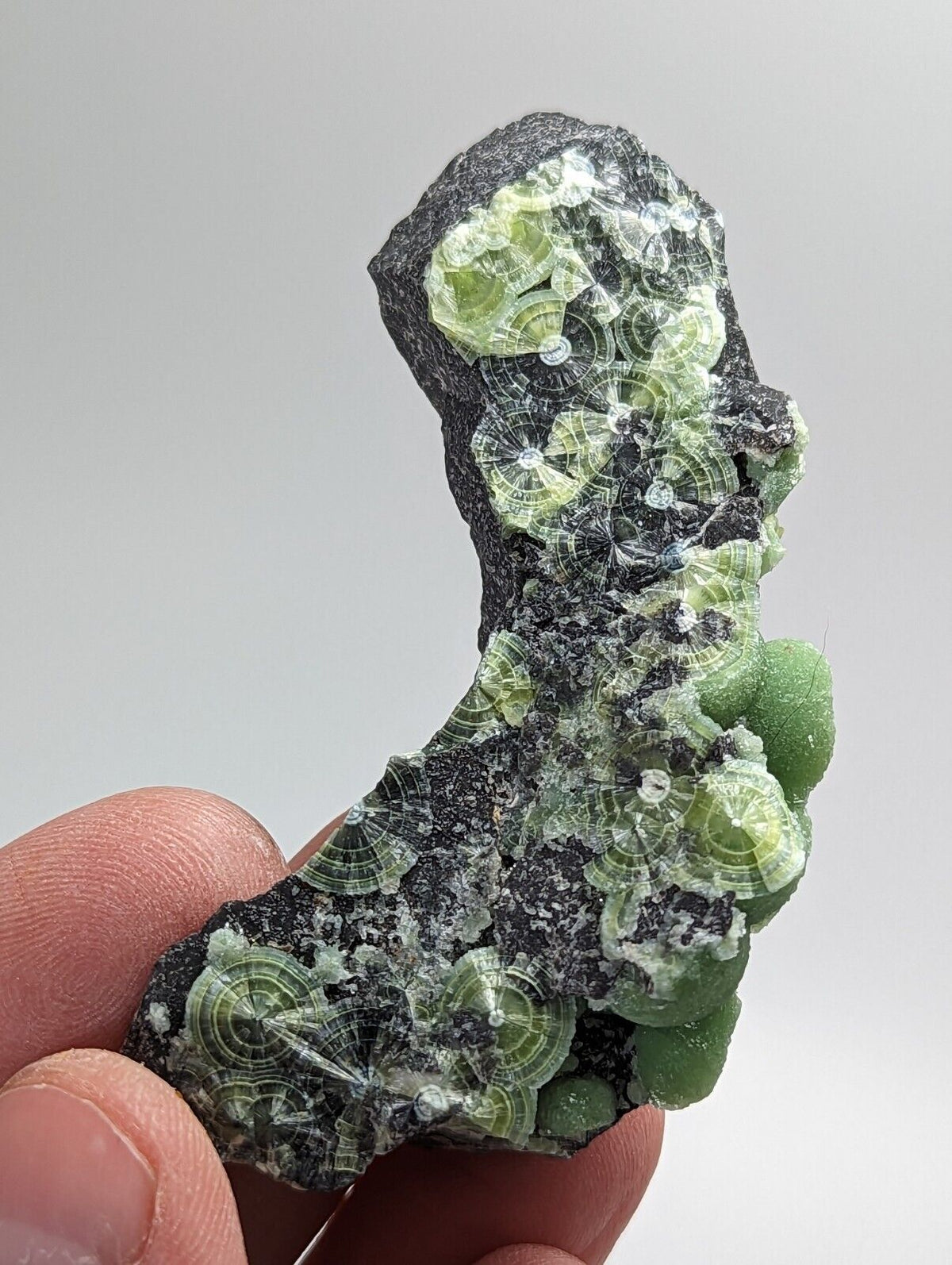 Wavellite - Fantastic 1990s Old Stock - Mauldin Mountain Arkansas - Collectibles:Rocks Fossils & Minerals:Crystals