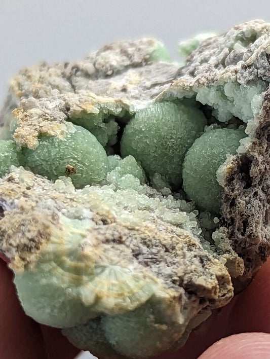 Wavellite -Fantastic 1990s Old Stock- Mauldin Mountain Arkansas montgomery co. - Collectibles:Rocks Fossils &