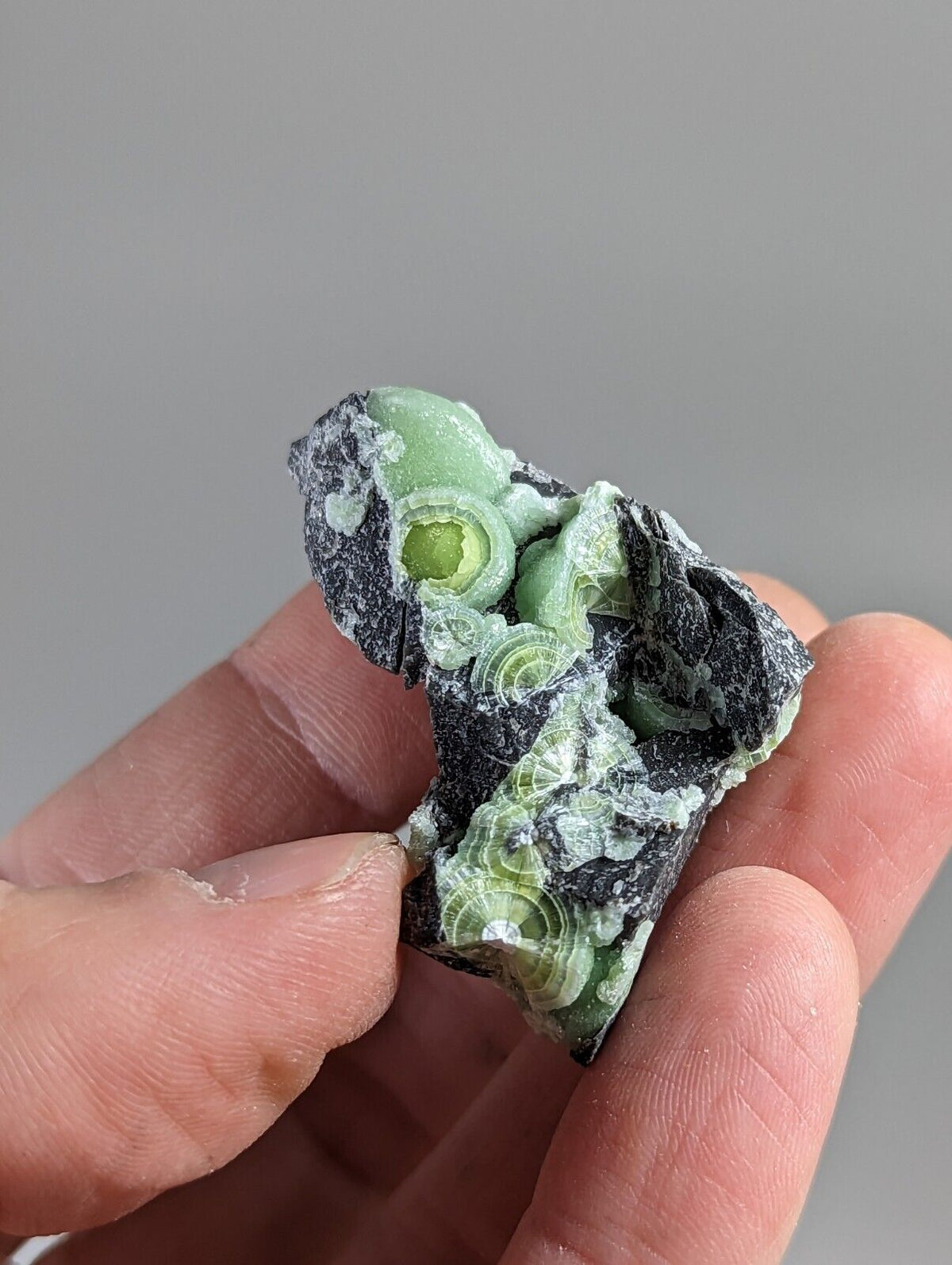 Wavellite - Fantastic 1990s Old Stock - Mauldin Mountain Arkansas - Collectibles:Rocks Fossils & Minerals:Crystals