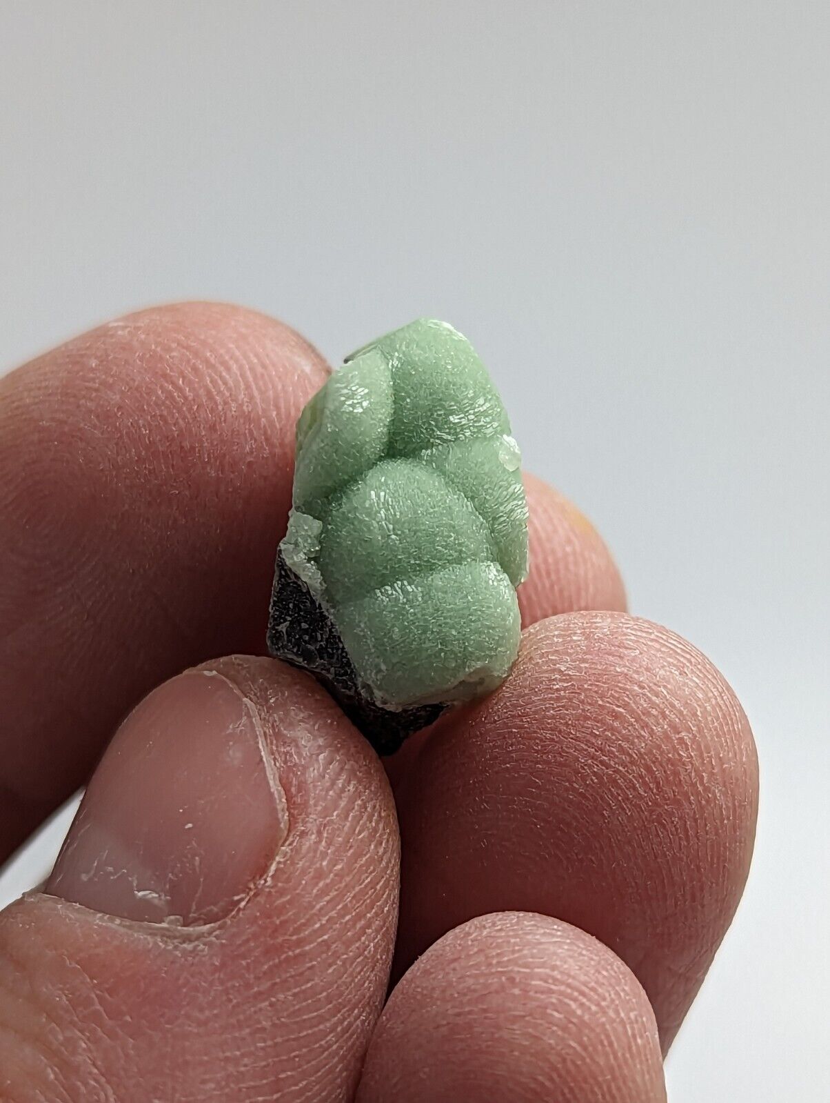 Wavellite - Fantastic 1990s Old Stock - Mauldin Mountain Arkansas - Collectibles:Rocks Fossils & Minerals:Crystals