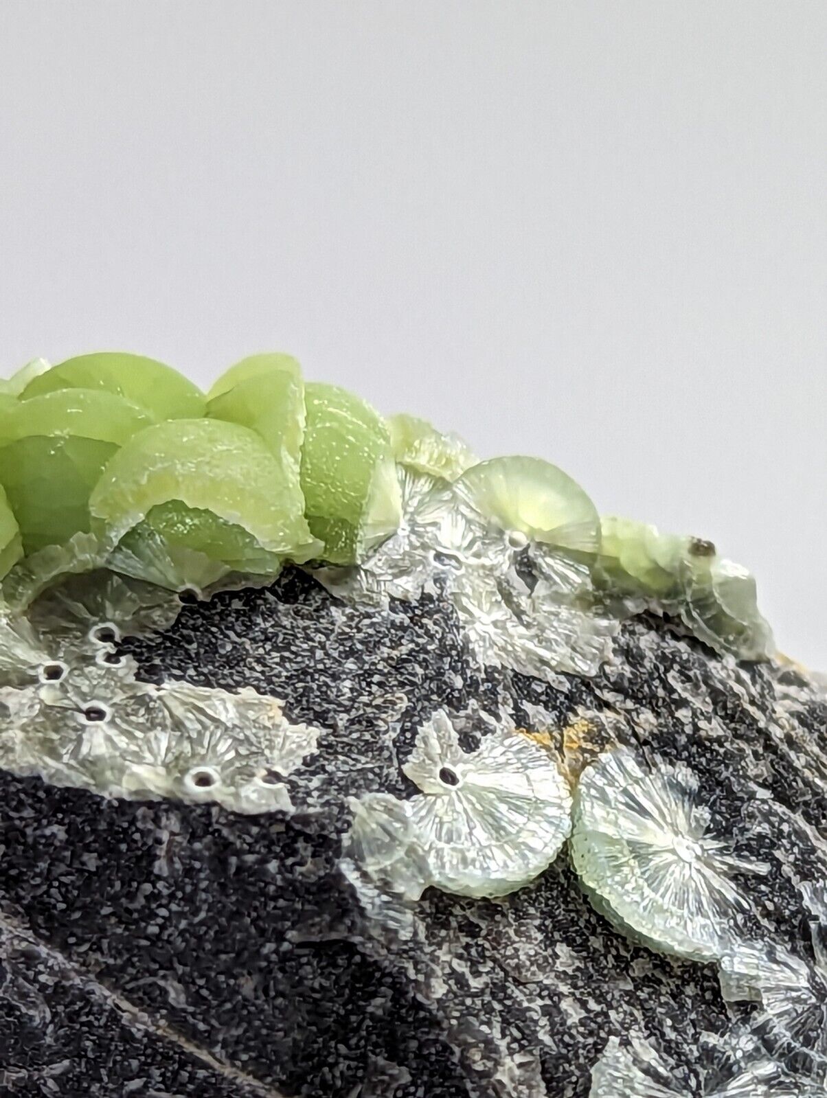 Wavellite - Fantastic 1990s Old Stock - Mauldin Mountain Arkansas - Collectibles:Rocks Fossils & Minerals:Crystals