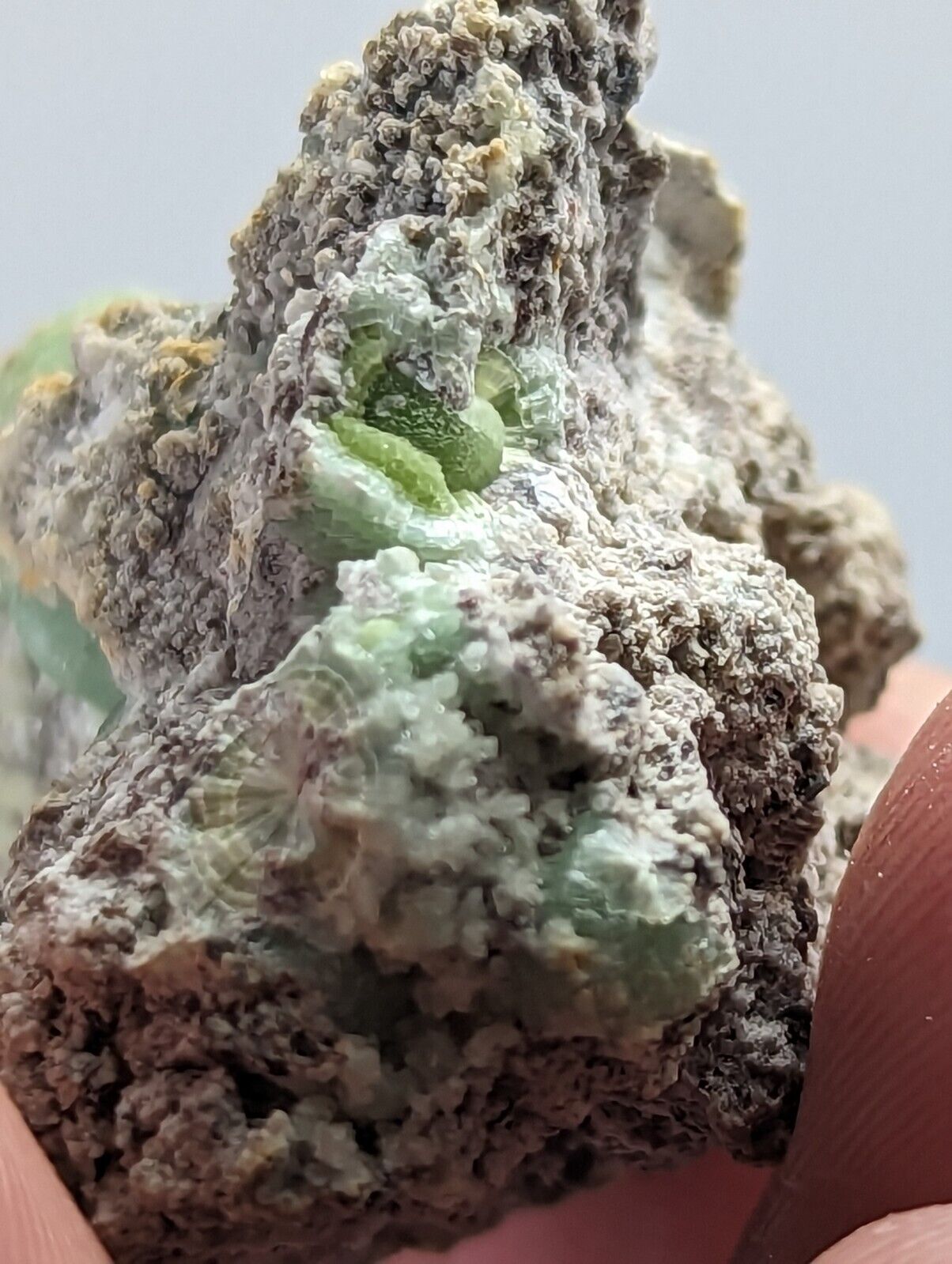 Wavellite -Fantastic 1990s Old Stock- Mauldin Mountain Arkansas montgomery co. - Collectibles:Rocks Fossils &