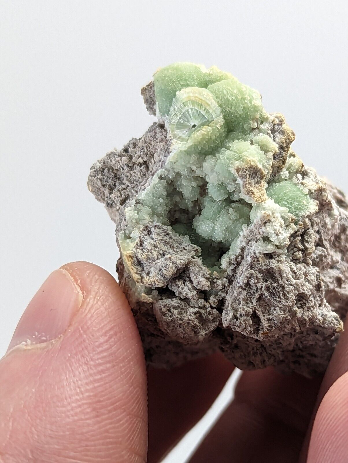 Wavellite -Fantastic 1990s Old Stock- Mauldin Mountain Arkansas montgomery co. - Collectibles:Rocks Fossils &