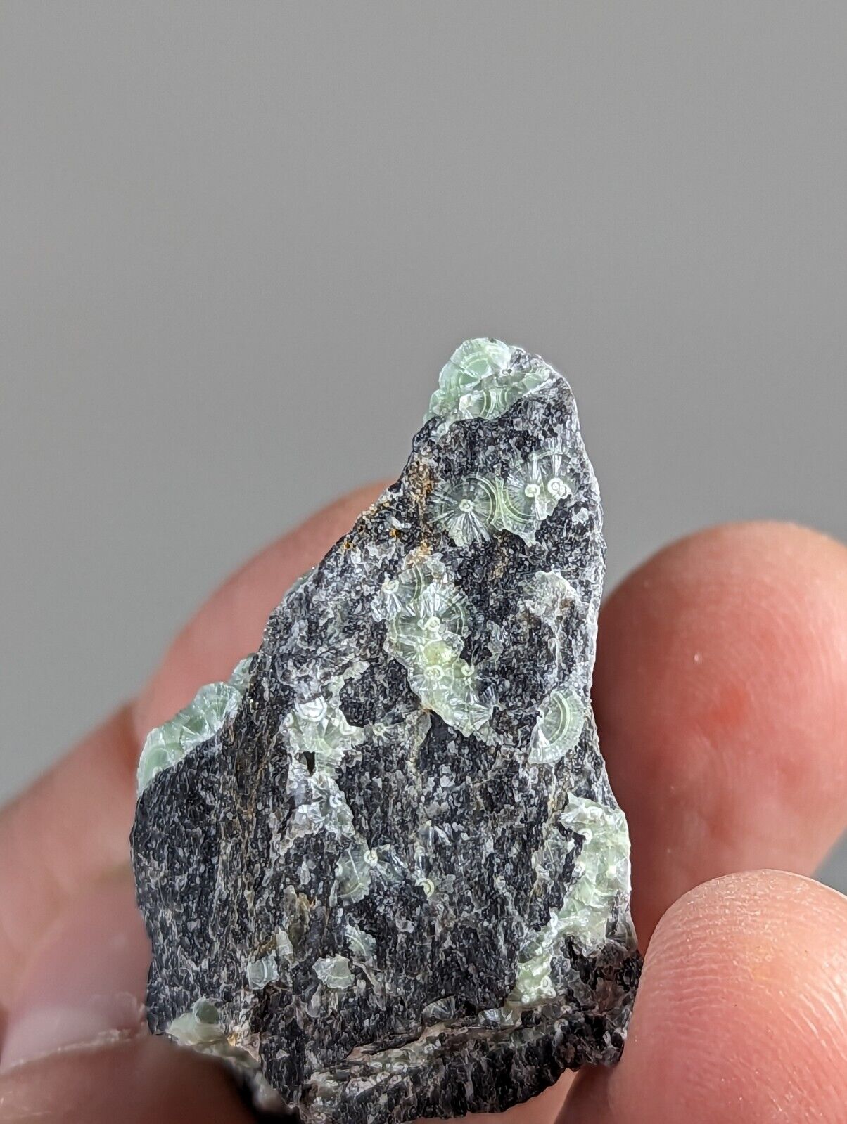 Wavellite - Fantastic 1990s Old Stock - Mauldin Mountain Arkansas - Collectibles:Rocks Fossils & Minerals:Crystals