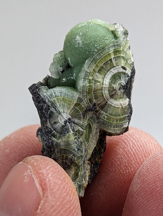 Wavellite - Fantastic 1990s Old Stock - Mauldin Mountain Arkansas - Collectibles:Rocks Fossils & Minerals:Crystals