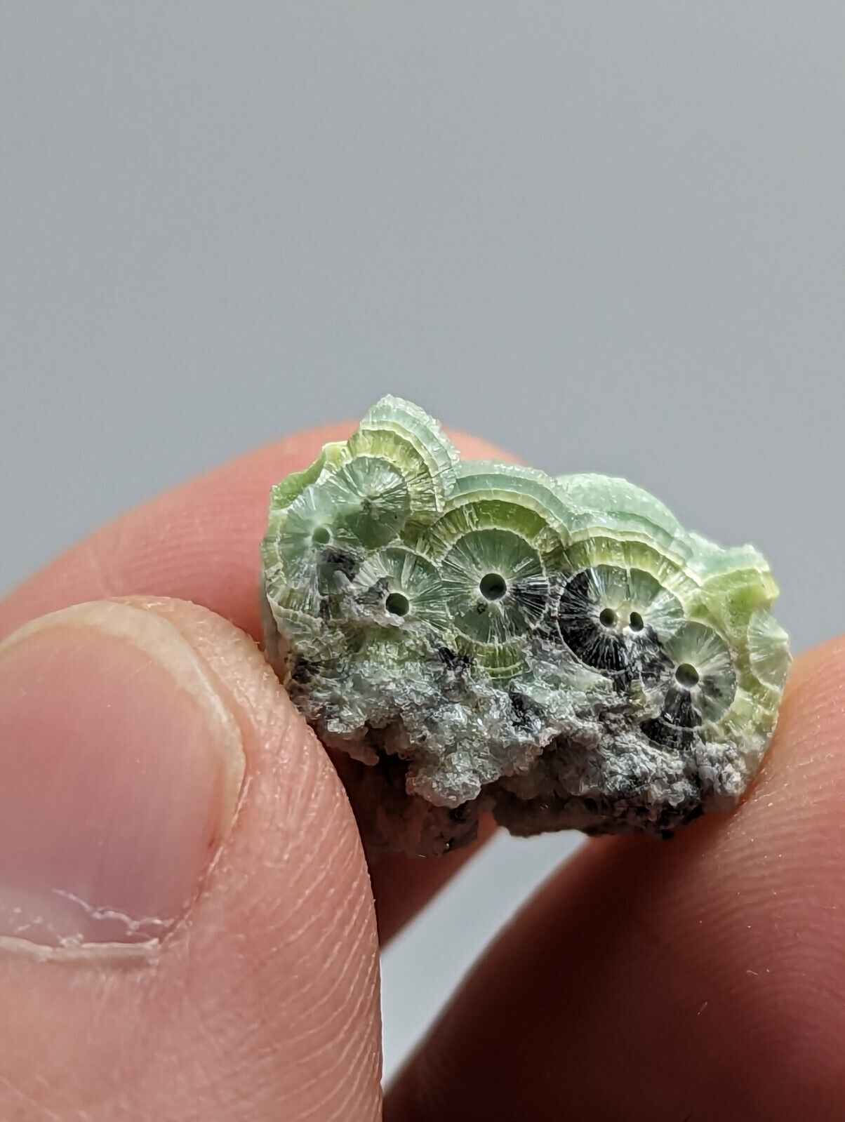 Wavellite - Fantastic 1990s Old Stock - Mauldin Mountain Arkansas - Collectibles:Rocks Fossils & Minerals:Crystals