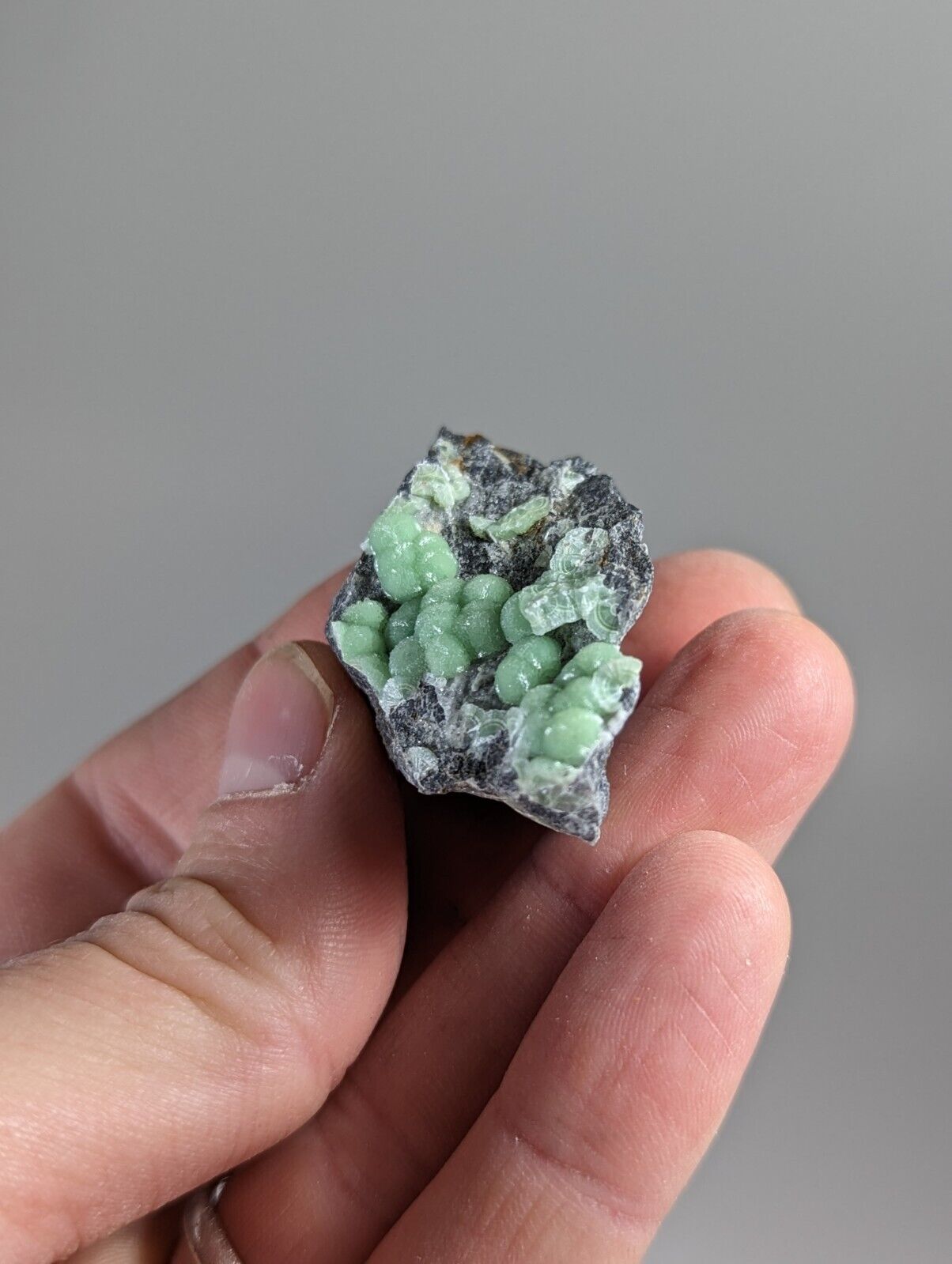 Wavellite - Fantastic 1990s Old Stock - Mauldin Mountain Arkansas - Collectibles:Rocks Fossils & Minerals:Crystals