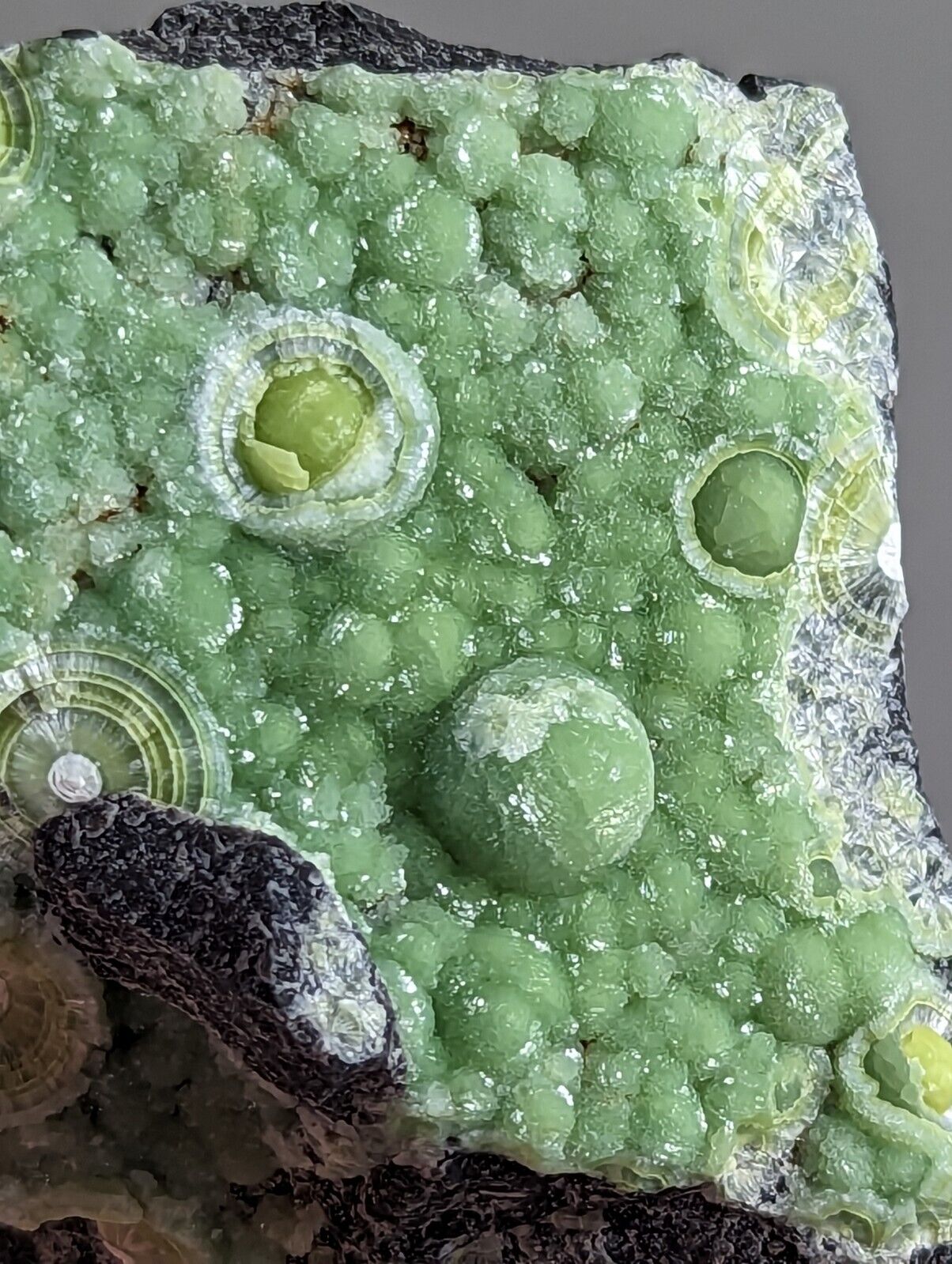 Wavellite - Fantastic 1990s Old Stock - Mauldin Mountain Arkansas - Collectibles:Rocks Fossils & Minerals:Crystals