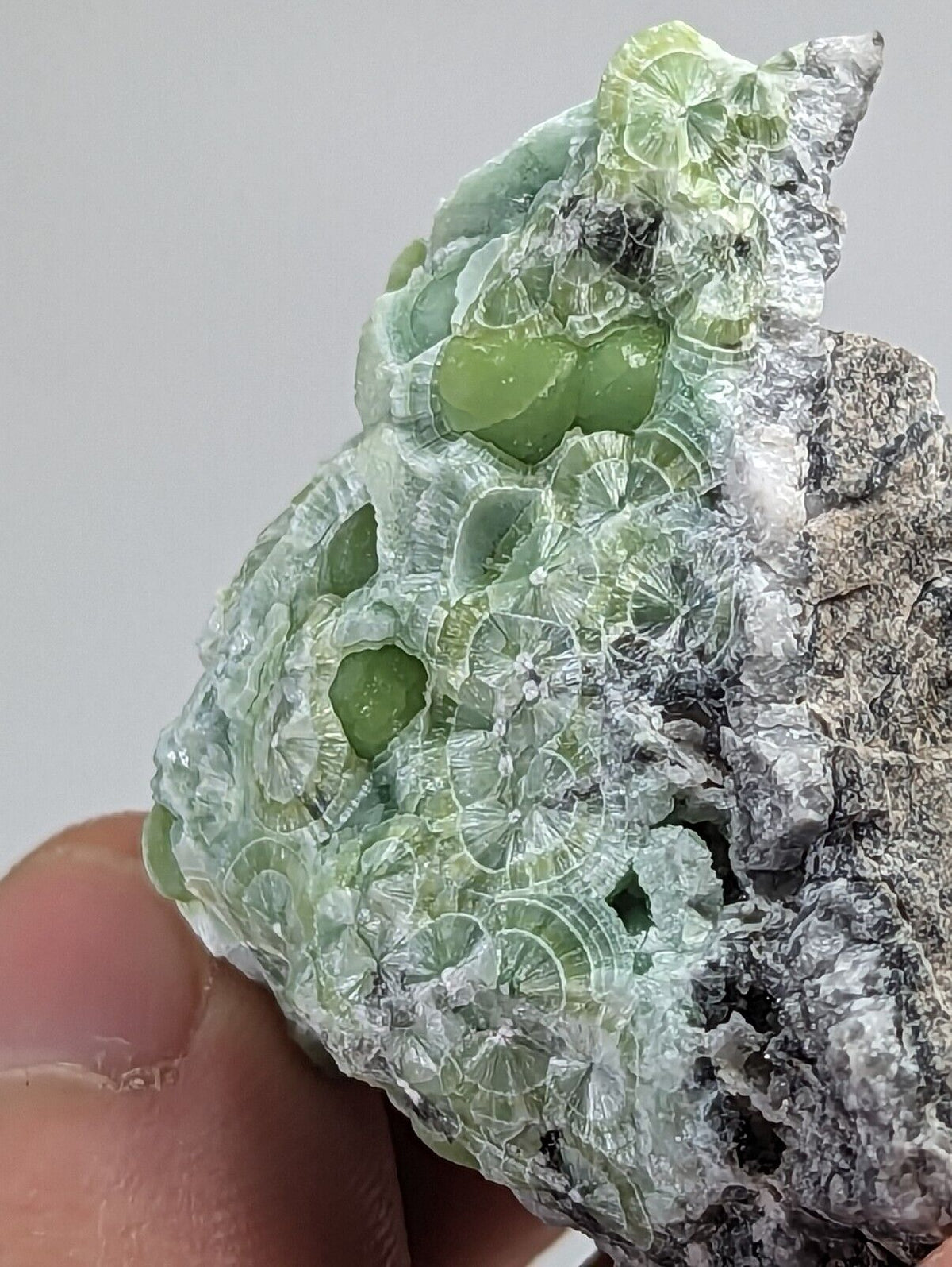 Wavellite - Fantastic 1990s Old Stock - Mauldin Mountain Arkansas - Collectibles:Rocks Fossils & Minerals:Crystals