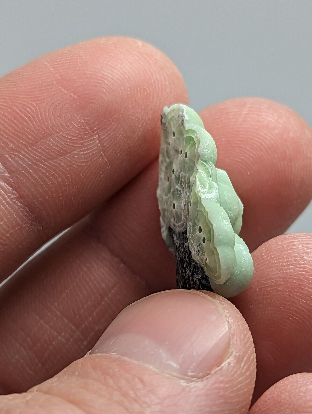 Wavellite - Fantastic 1990s Old Stock - Mauldin Mountain Arkansas - Collectibles:Rocks Fossils & Minerals:Crystals