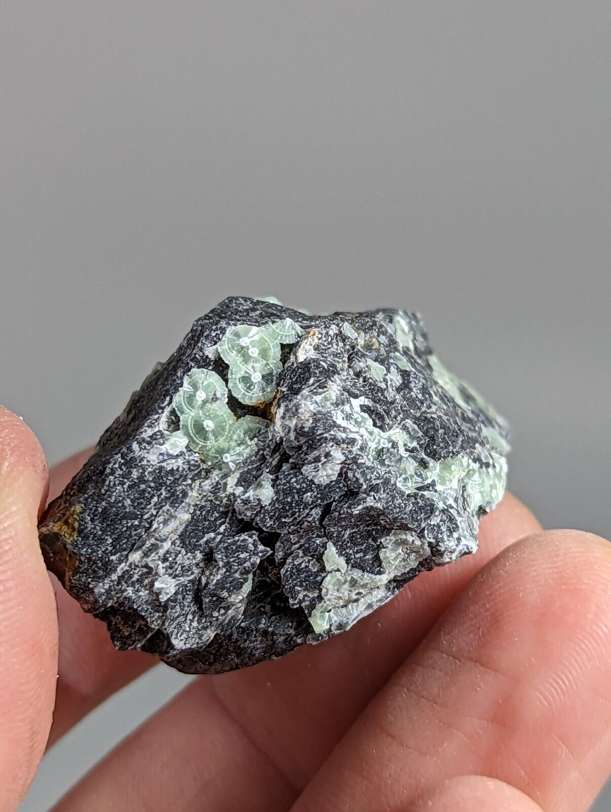 Wavellite - Fantastic 1990s Old Stock - Mauldin Mountain Arkansas - Collectibles:Rocks Fossils & Minerals:Crystals