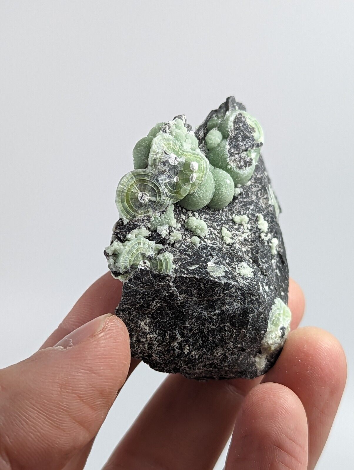 Wavellite - Fantastic 1990s Old Stock - Mauldin Mountain Arkansas - Collectibles:Rocks Fossils & Minerals:Crystals